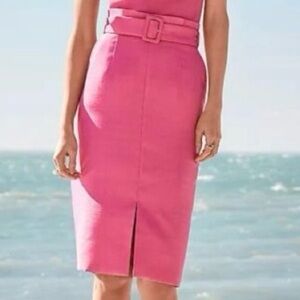 NWT Ann Taylor pink pencil skirt